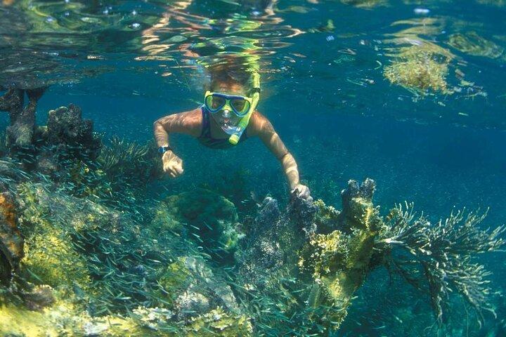 Nha Trang Mun Island Snorkeling Coral Reef Tour with BBQ Lunch
