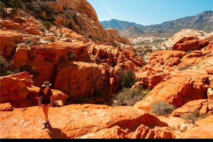 Shared Tour in Red Rock Canyon