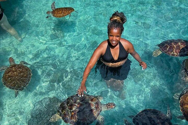 Turtles Sanctuary in Salaam Cave