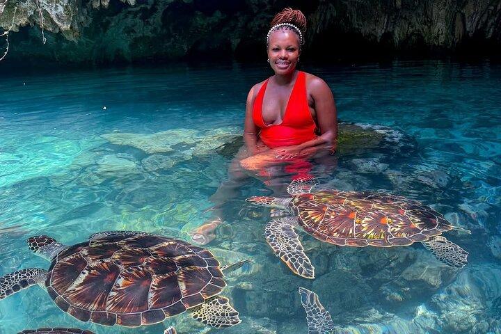 Turtles Sanctuary in Salaam Cave