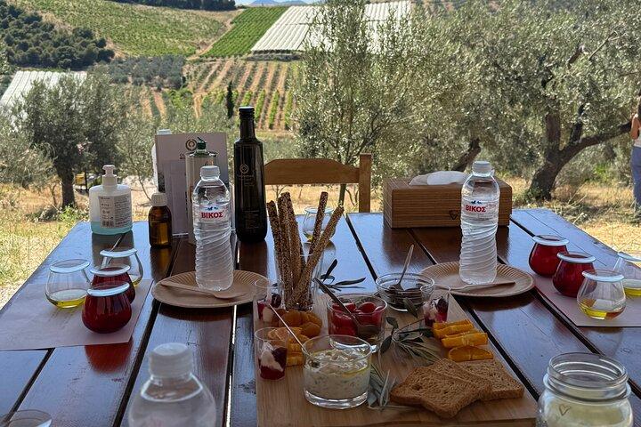 Olive Oil Tasting Farm Experience,ancient Corinth