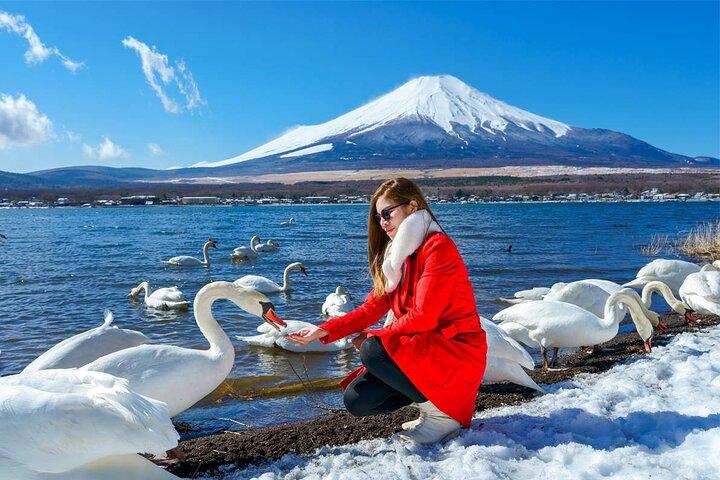 Mt Fuji and Izu Deep View 2 Day Tour from Tokyo