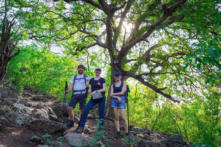 Hiking La Tourelle Mountain in Mauritius