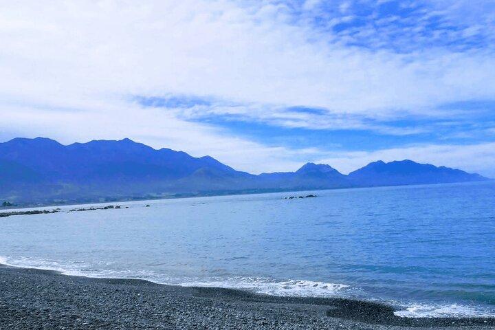 Kaikoura Day Trip including Whale Watch from Christchurch