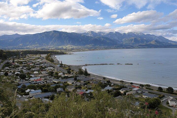 Kaikoura Day Trip including Whale Watch from Christchurch