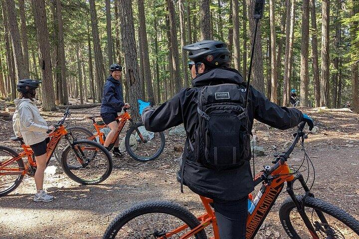 Mountain Breeze Tour - Mountain E Bike - Whistler Marmot Activity