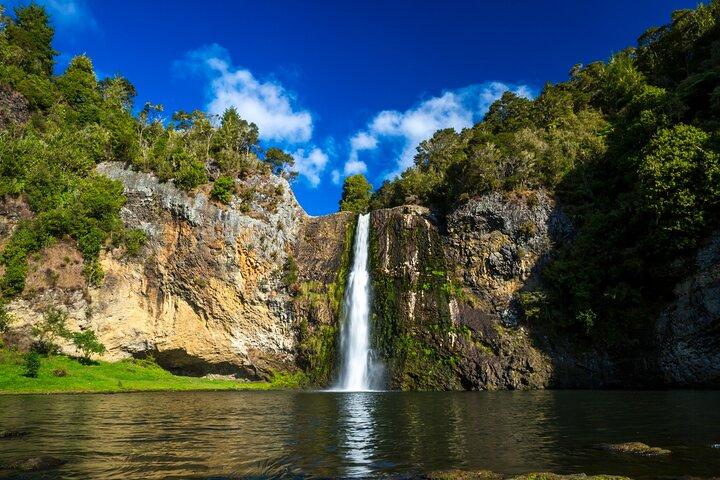 Auckland Birdwatching and Hiking Private Tour