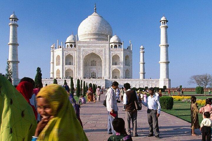 Agra Taj Mahal and Agra Fort Skip The Line Tour
