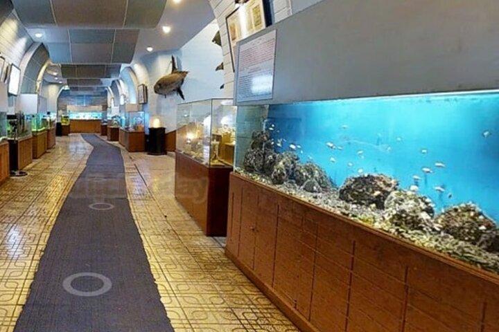 Nha Trang Half-Day Tour: Top Attractions & Hidden Gems