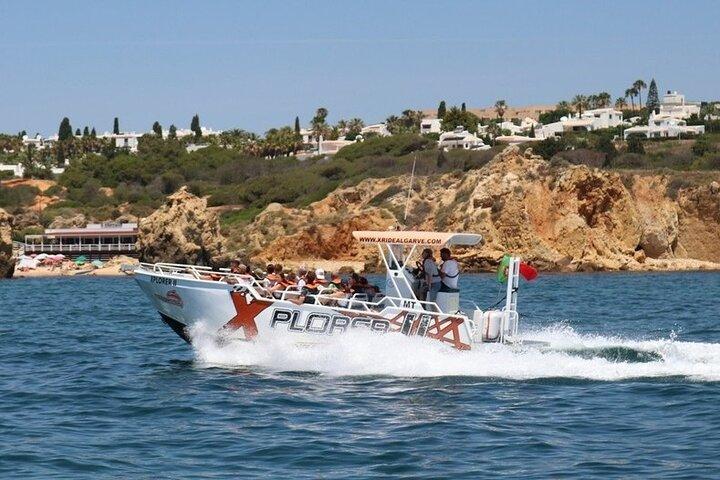 Albufeira: Dolphin Watching and Caves Cruise