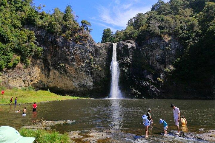 Auckland Birdwatching and Hiking Private Tour