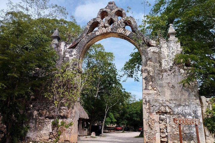 Uxmal and Hacienda Mucuyché: A Journey to the Heart of the Mayan World