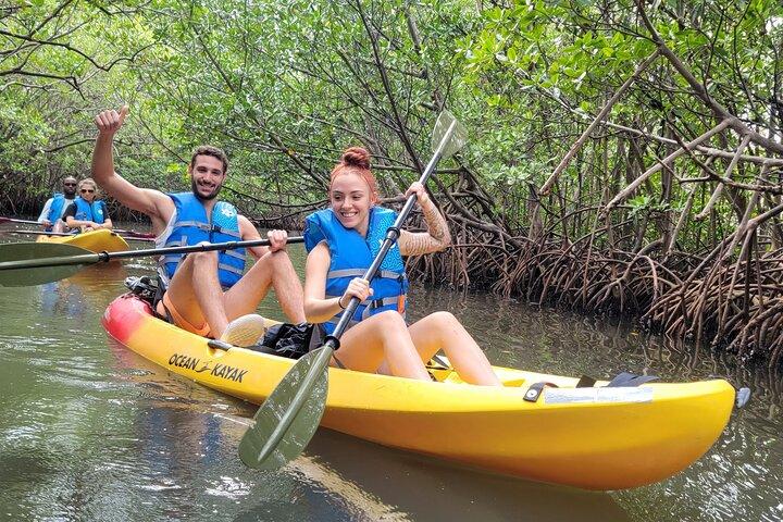 Biscayne Bay Island and Nature Exploration
