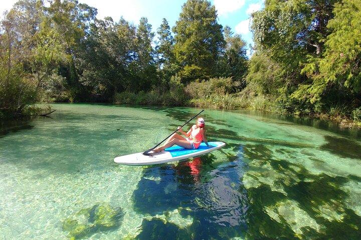 Biscayne Bay Island and Nature Exploration