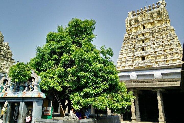 From Chennai Private Day Tour to Kanchipuram & Mahabalipuram