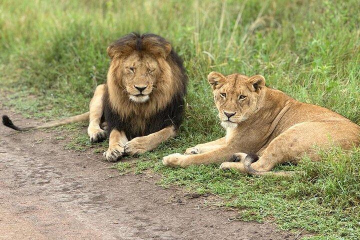 4 Days Short and Sweet Safari to Tarangire and Ngorongoro Wonders