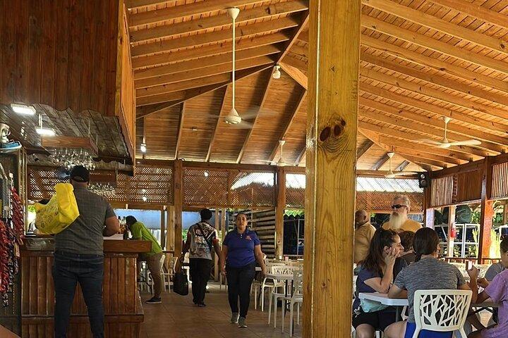 Puerto Plata Damajagua Waterfalls Tour with Lunch