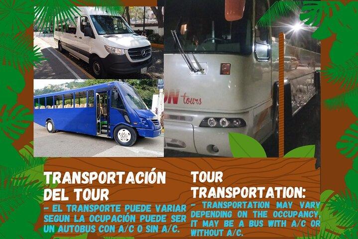 City tour express, Butterfly, tequila, river and beach