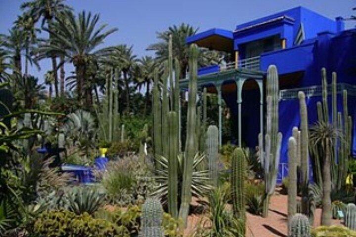 Half Day Private Guided Tour of Marrakech