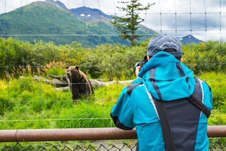 Anchorage to Whittier Wildlife Adventure
