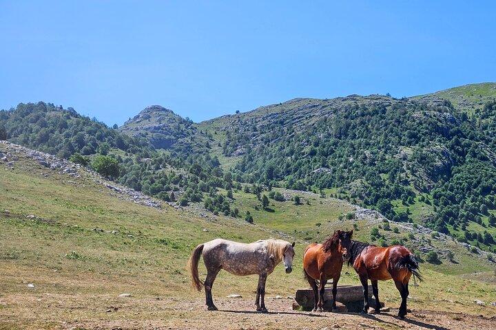 Private Lukomir Village 4x4 Off-Road Safari Tour from Sarajevo