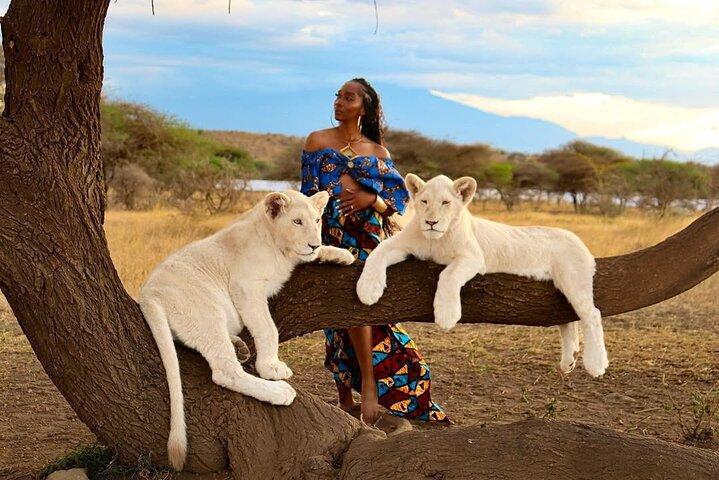 5 Days Wild To Island of Tanzania & Zanzibar + Walking With Lions