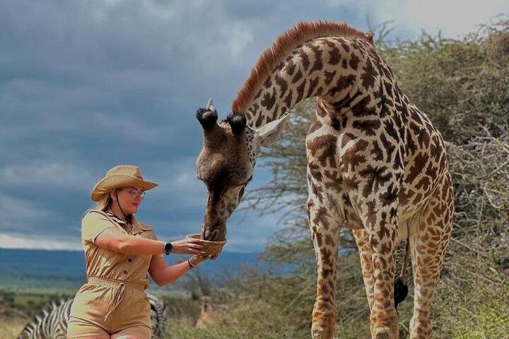 5 Days Wild To Island of Tanzania & Zanzibar + Walking With Lions