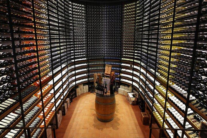 In the Heart of Chianti Classico : Wine, Winery and Tradition