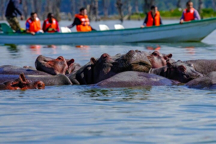Hell's Gate and Lake Naivasha Day Tour