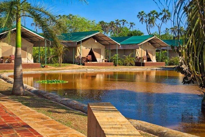 Bora Bora Wildlife Park Half Day Tour in Diani