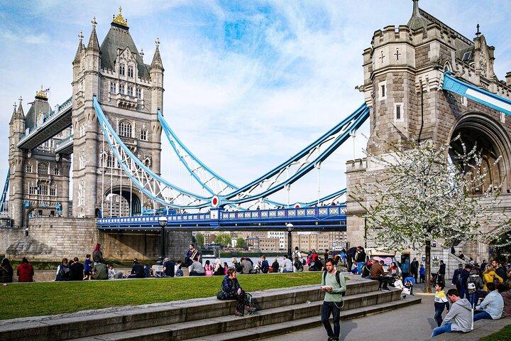 Private London Westminster Tour and London's Top Sights