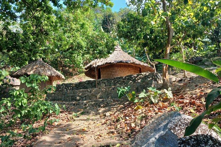 Cacao and Secret Waterfall Tour