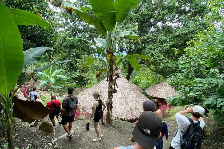 Cacao and Secret Waterfall Tour