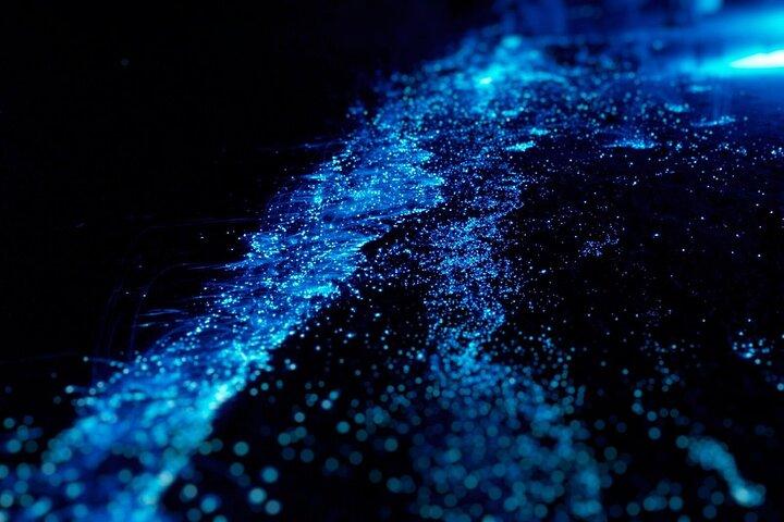 Cayman Bioluminescent Bay Night Tour