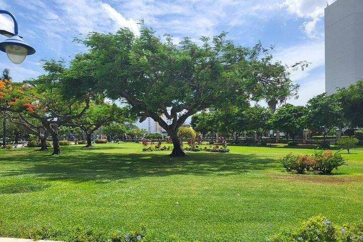 Kingston Cultural Tour Bob Marley Museum & Emancipation Park