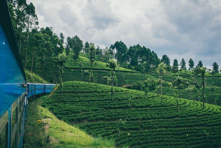 From Kandy: Second/Third Class Scenic Train Ticket to Ella