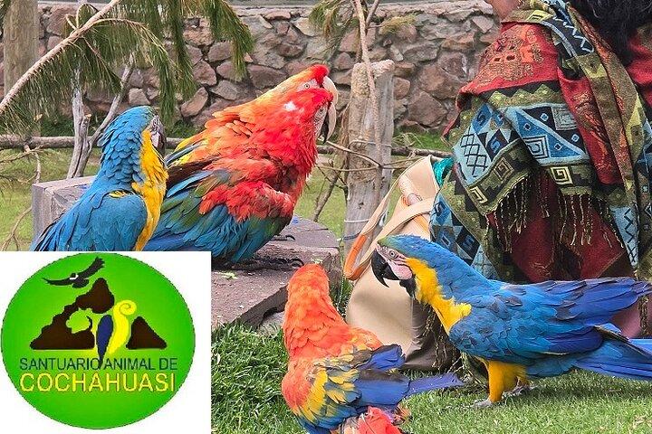 VIP Best Wildlife Tour in Cusco Official Cochahuasi Sanctuary®