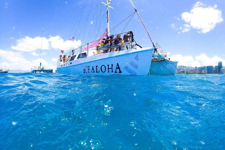 Waikiki: 2-hour Turtle Canyon Snorkeling Adventure