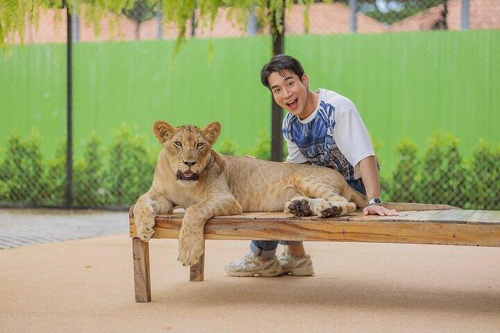Lion Land Phuket Entry Ticket with Private Hotel Transfer