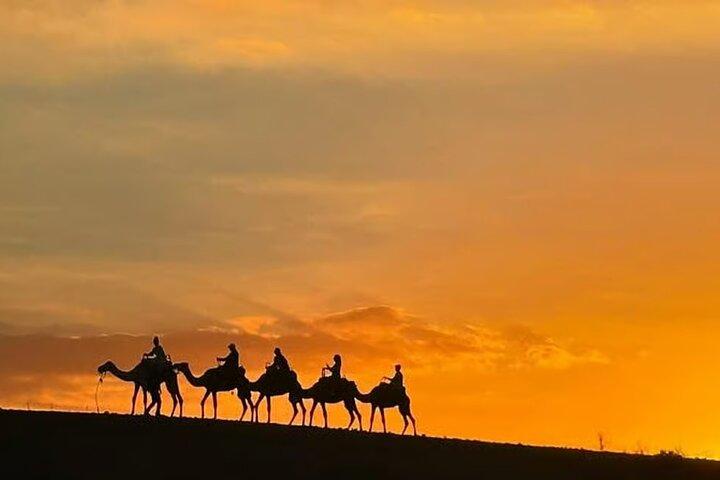Marrakech: All-In-ONE Agafay CAMEL , DINNER, SHOW & TRANSPORT.