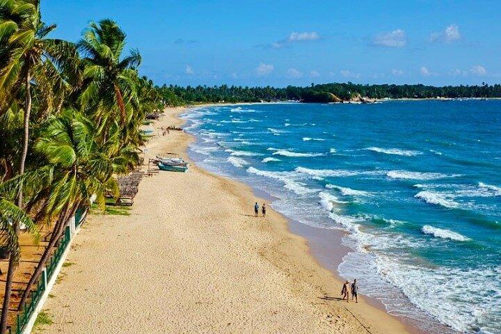 Sri Lanka 5 Day Coastal Tour with Adventures and Entry Fees