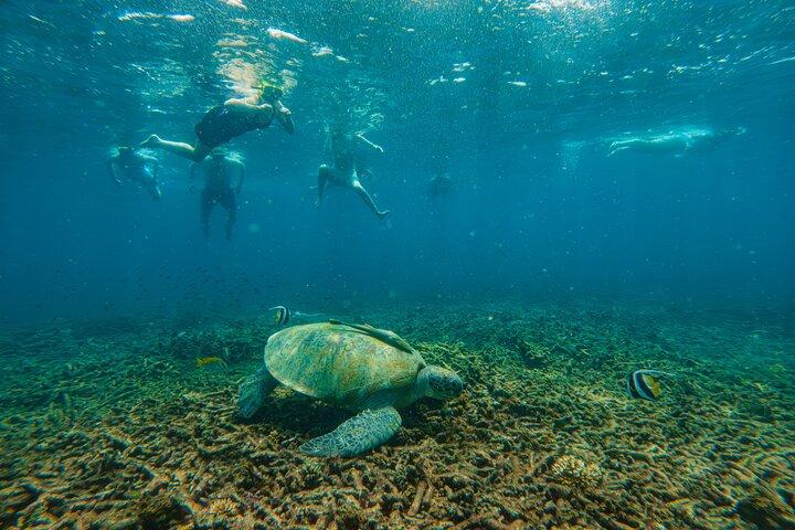 Koh Tao and Koh Nang Yuan Speedboat Tour from Koh Samui