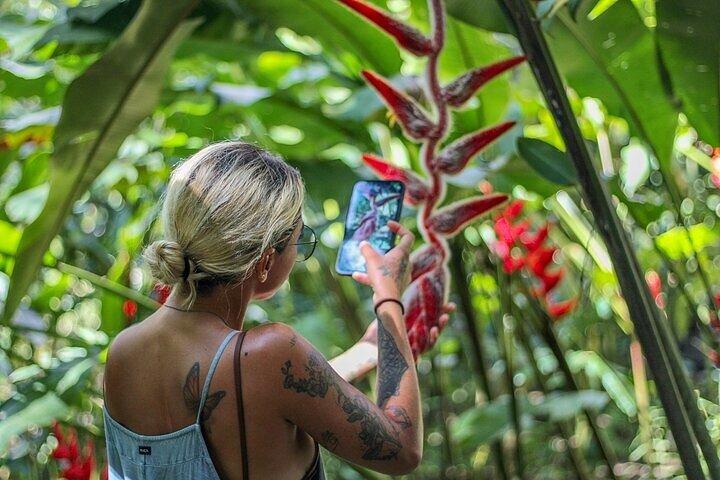 From Huatulco : Exotic garden on ecotourist ranch