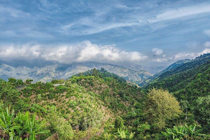 Blue Mountain Coffee Hike and Tour