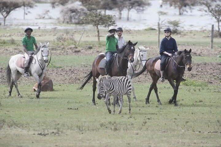 Breathtaking Hellsgate and Lake Naivasha Day Trip- Free WI FI