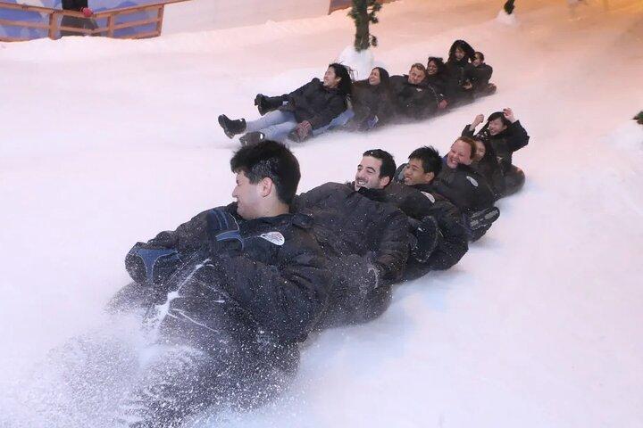 Snow City Singapore Admission Ticket