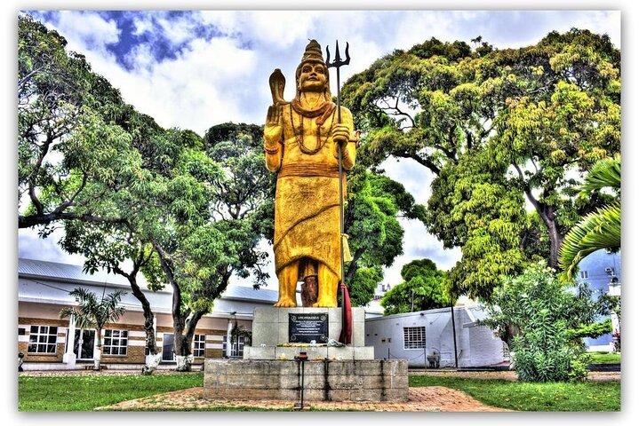 Half Day Durban City Sightseeing Tour