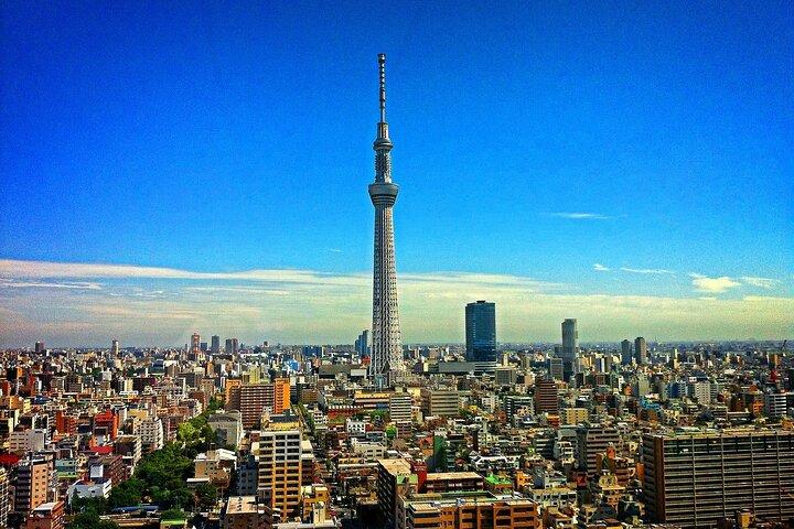 Akihabara Ultimate Anime & Gaming Tour with Maid Café Experience