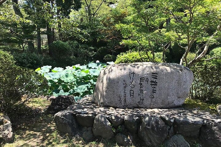 Okutama Forest Therapy Shinrin-yoku Tour with Lunch Options