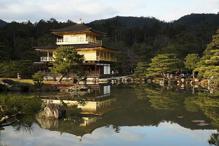 Okutama Forest Therapy Shinrin-yoku Tour with Lunch Options